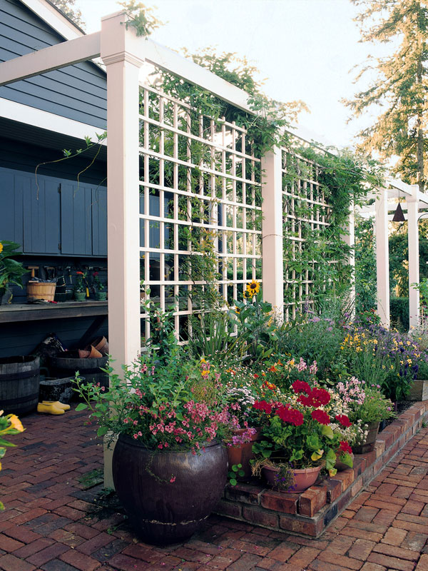 Privacy Trellis Vertical Garden