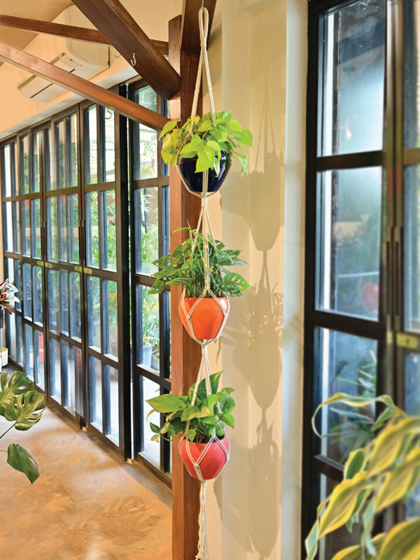 Hanging Planter