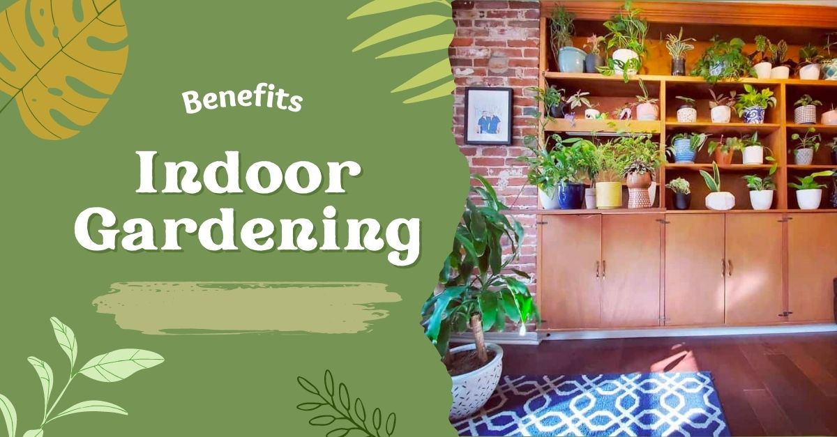 Indoor Gardening for your Tiny home
