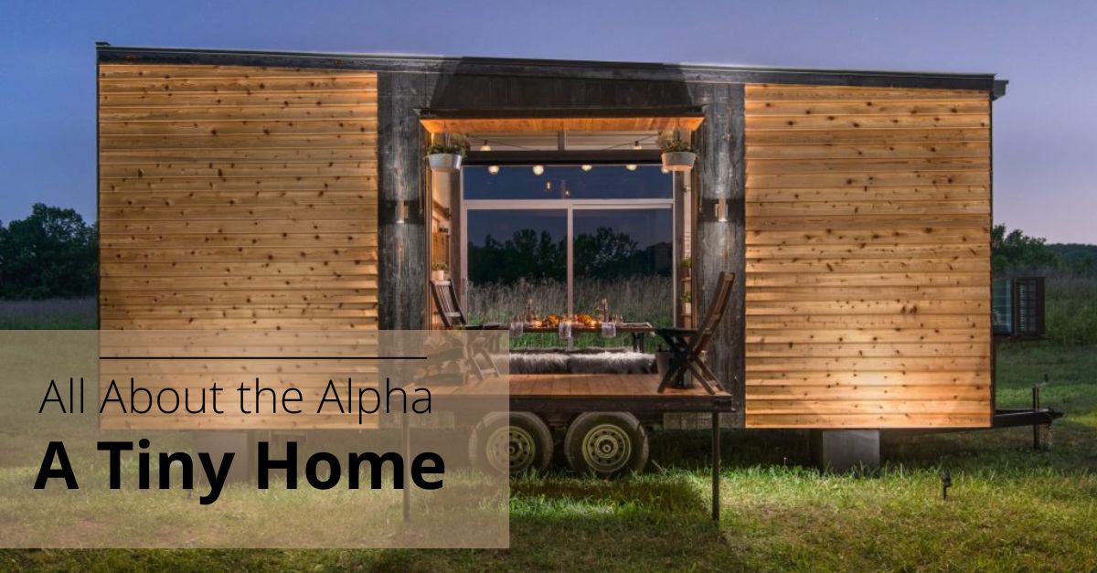 Alpha - Buy Tine House
